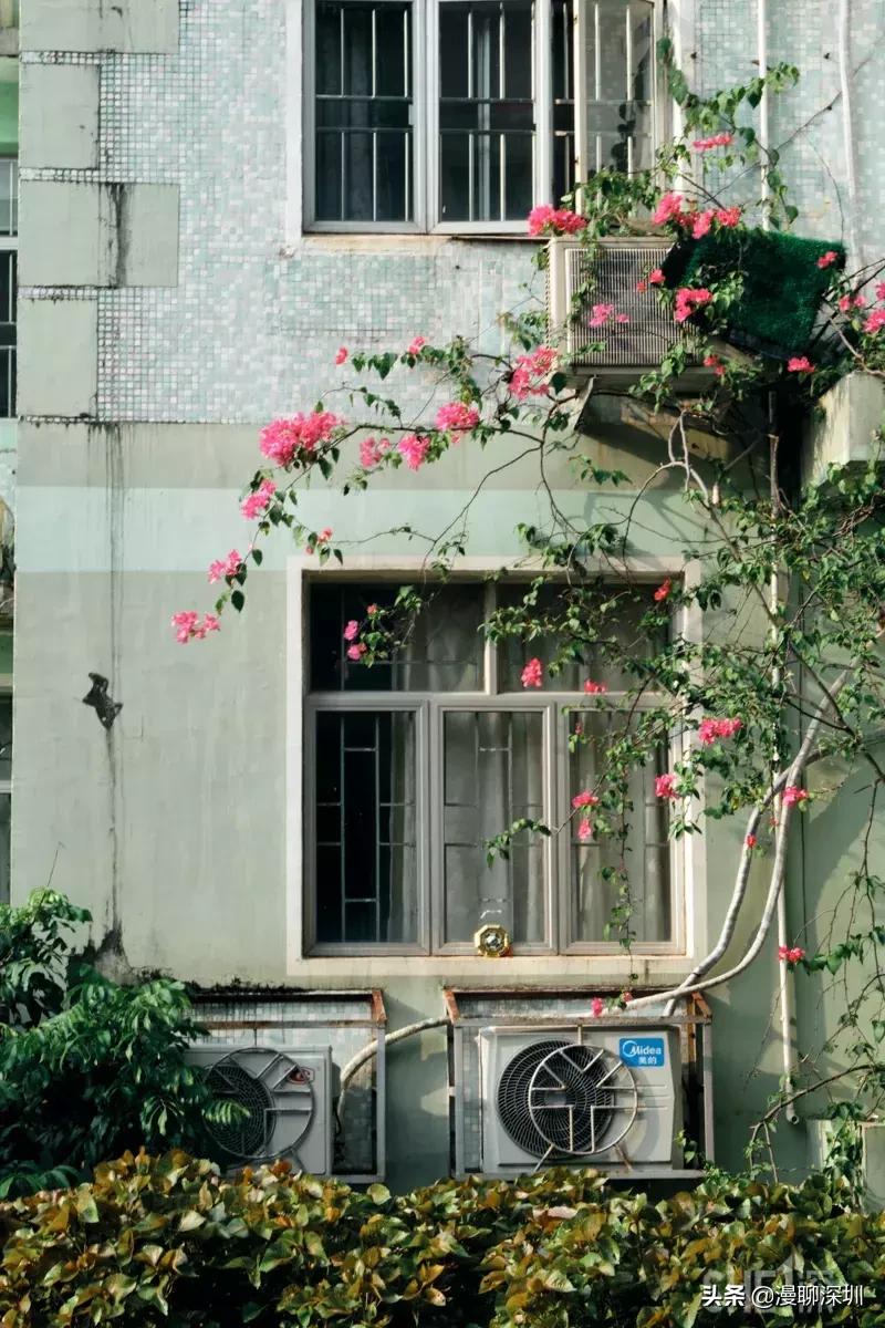 深圳益田村地址,行走深圳系列罗湖