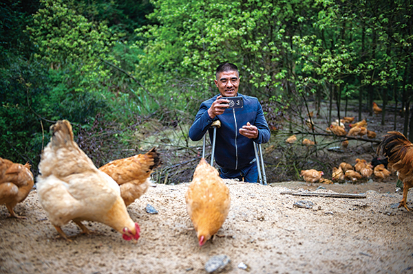 40件短视频作品“上线”,抖出土鸡新销路