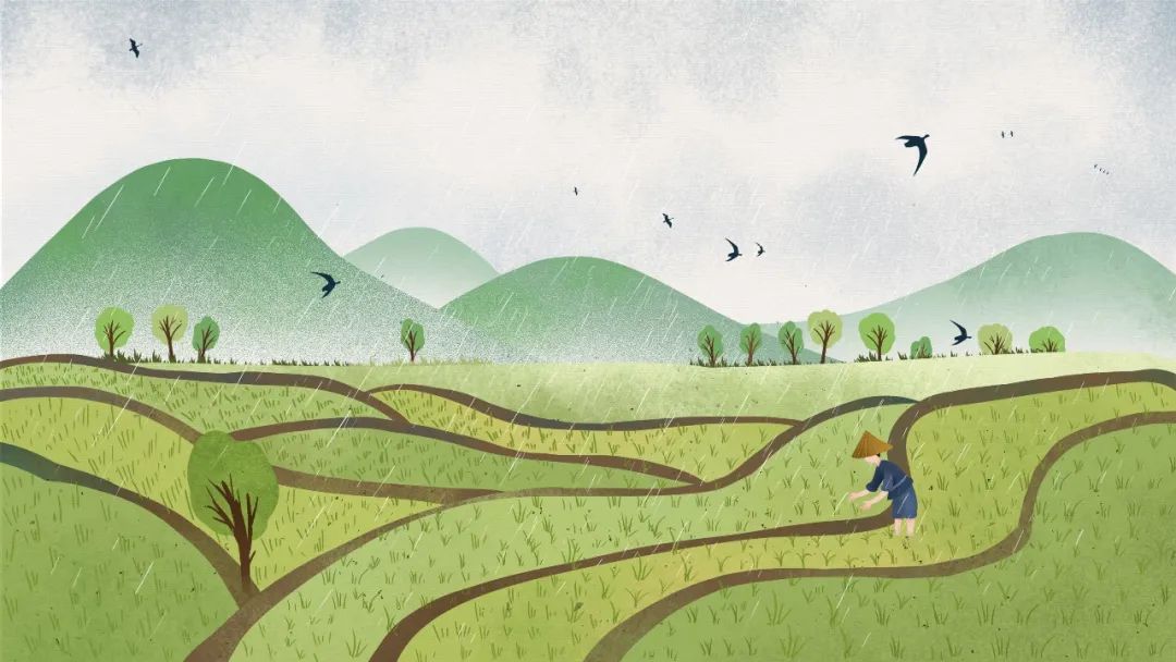 今日谷雨春天应该去哪里,今日谷雨人民日报