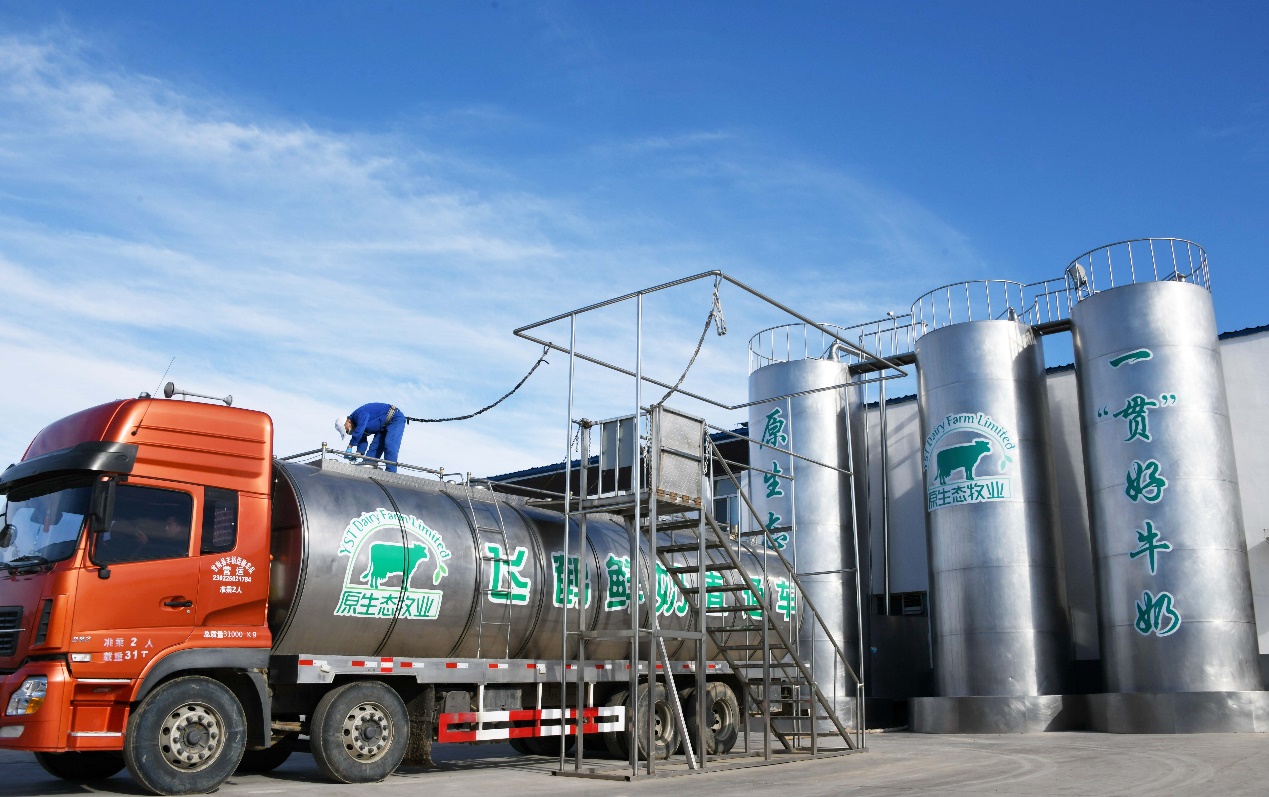 飞鹤奶粉一飞冲天,飞鹤奶粉腾飞