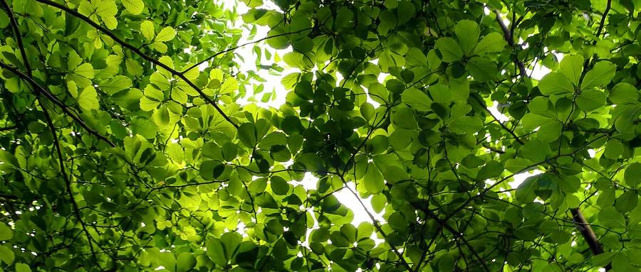 人未老，身先虚！巧用三伏天的阳气暖关节，疏通瘀阻，一身轻松