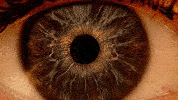 教科书照片与现实照片,教科书图片里的人