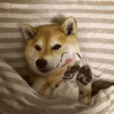 日韩美妆｜免税包邮下单立减还送高级会员？！消息是真的