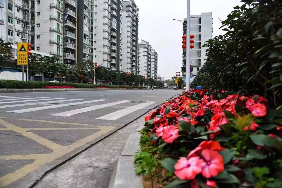 番禺｜社区软硬件升级，在桥南街这个社区，安居让乐业更轻松丨番禺人眼中的小康生活