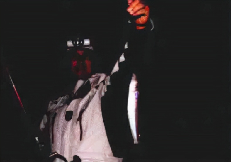 「日本专业海钓入门投钓书籍」新手入门投钓钓点海滨沙滩