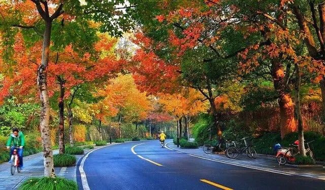 笑谈种树的艺术——看园林专业的魅力