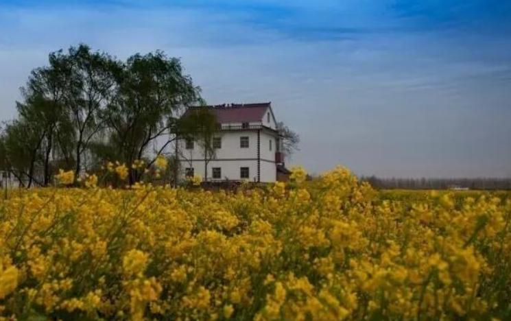 江苏省人口最多的县级市,江苏省人口过百万的县