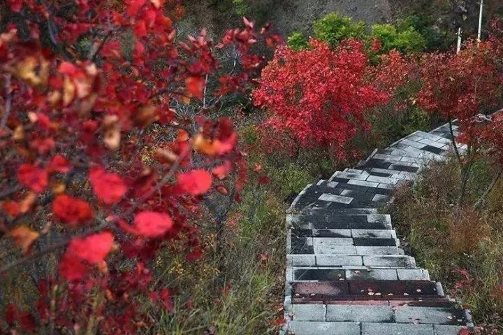 昌平最美的秋景在哪里,北京最美的秋景赏叶胜地香山公园