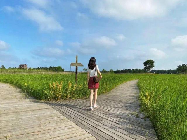 上海旅游有哪些好玩的地方推荐,上海最值得玩的地方有哪些