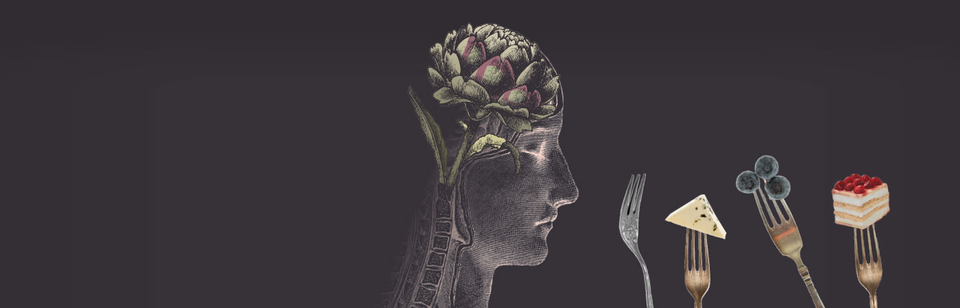 不来梅宇宙科学中心,不来梅宇宙科学中心图片