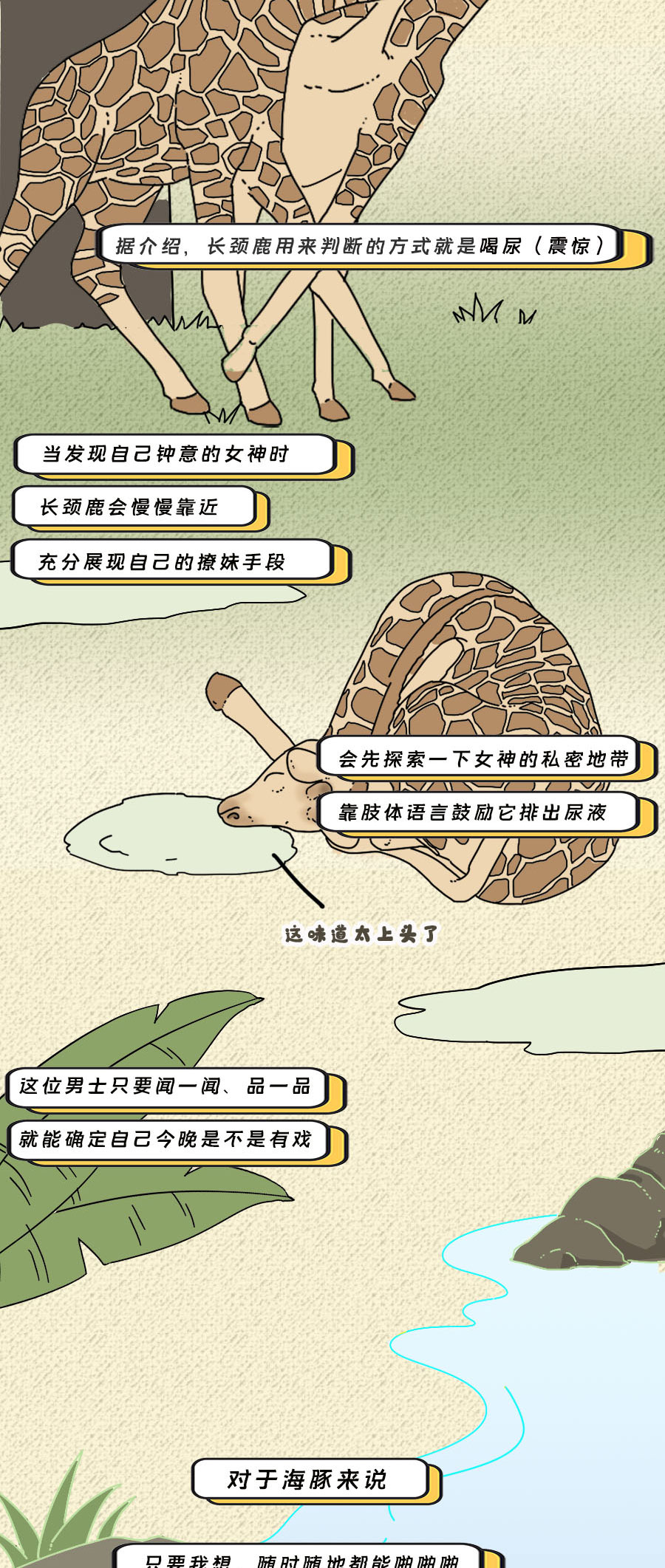 论啪啪啪，人类可比不上它们……