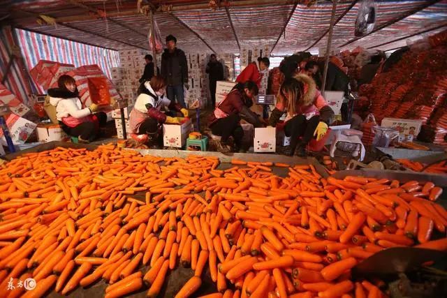 深圳十大农产品批发市场,中国十大农产品批发市场排名表