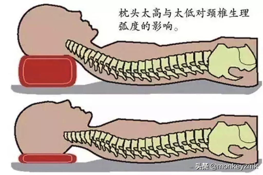 真正的羽绒枕头多少钱,羽绒枕价格差距为什么那么大