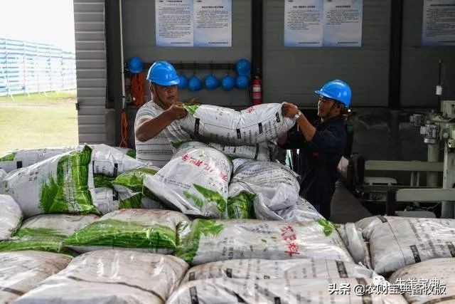 月收入高达2万多元！只需清棚圈时顺带回收牛羊粪