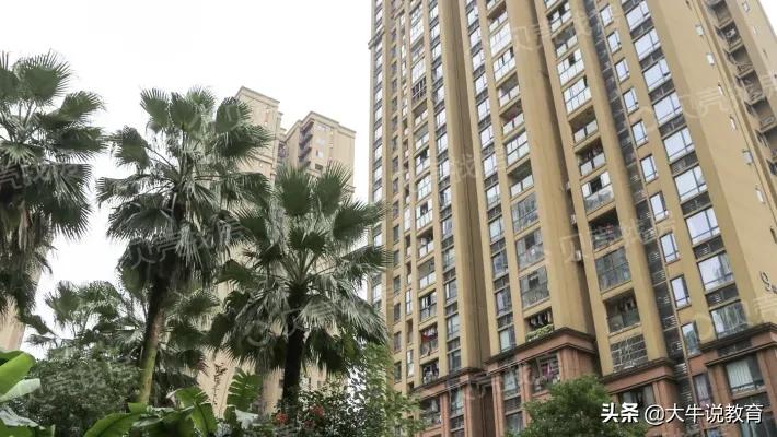 两江新区优质学区房来袭，未来发展了不起，快抢占优秀资源