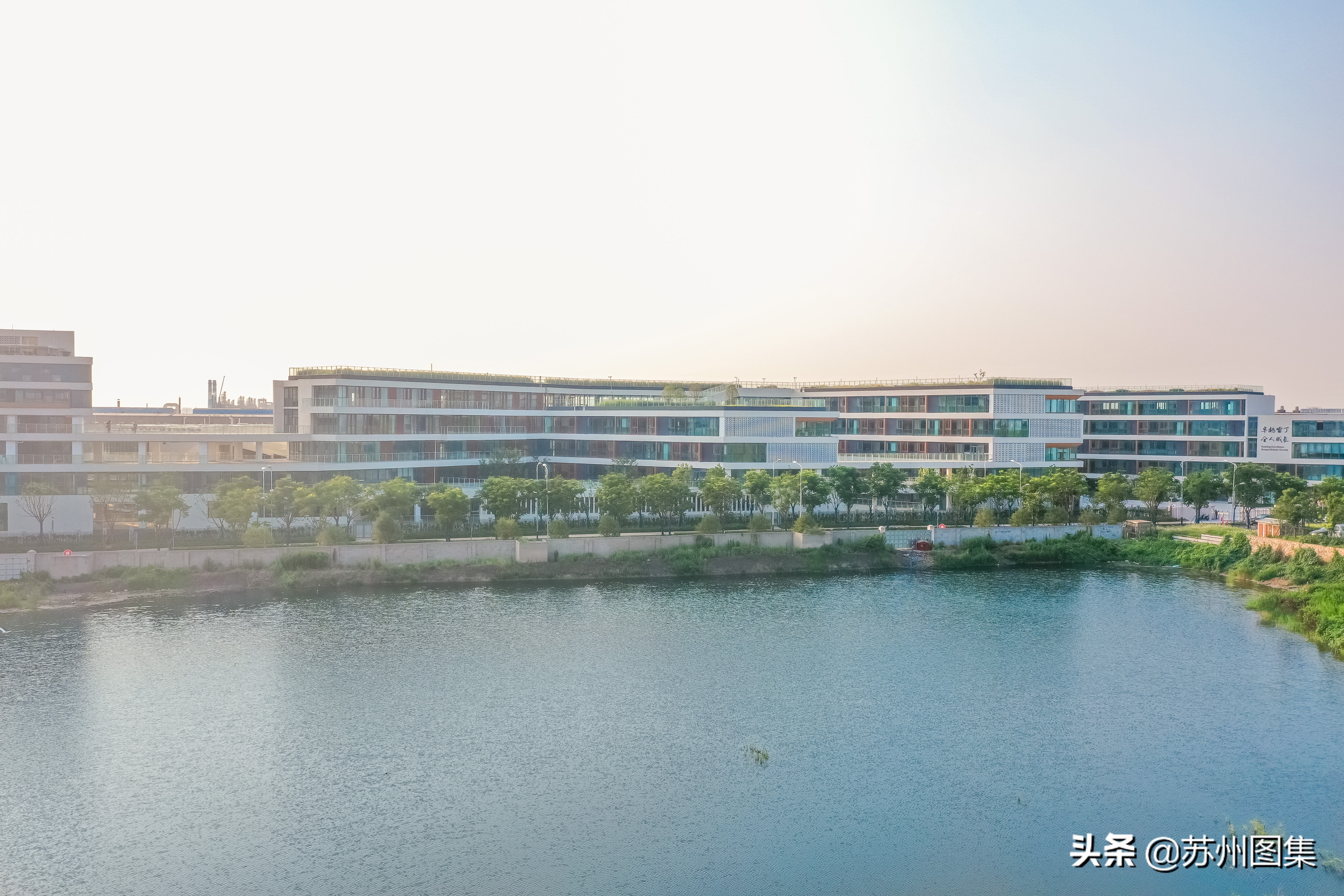 苏州雷丁国际学校好吗,苏州高新雷丁学校