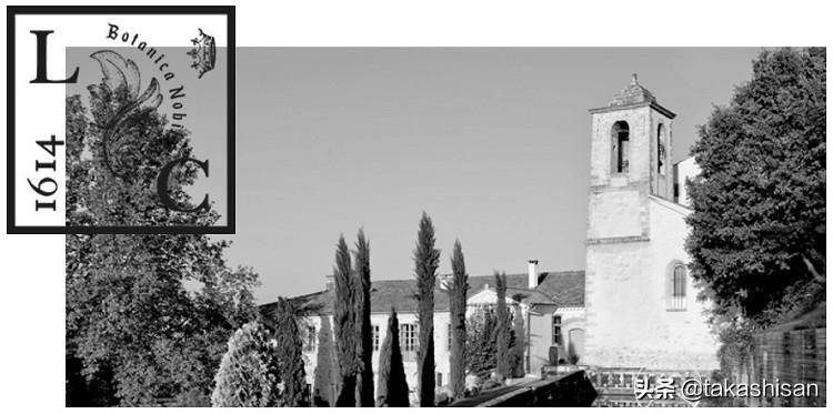 源自法国大牌香氛,高级轻奢香氛推荐