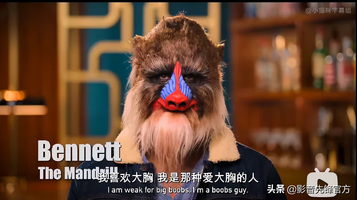 跨种族相亲,跨越种族相亲讲的什么