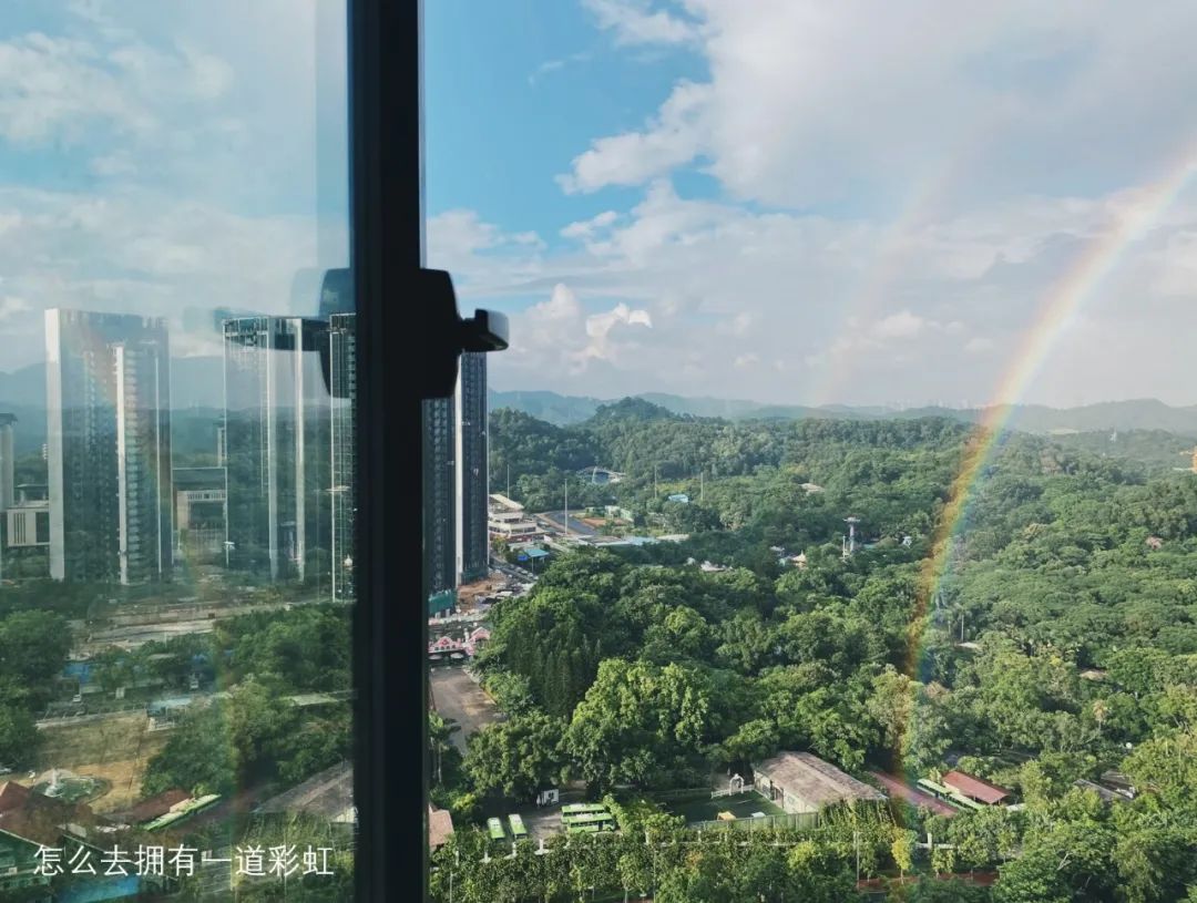 看到铲屎官终于回家，立即安心地睡着了|冷段子1986