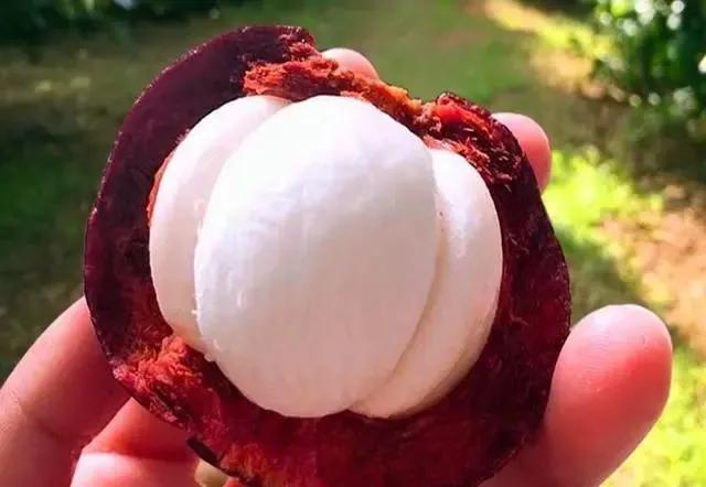 挑选山竹的3种小诀窍介绍,山竹的挑选技巧