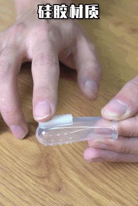 在办公室养猫是什么体验,不用牙膏只用牙刷给猫咪刷牙