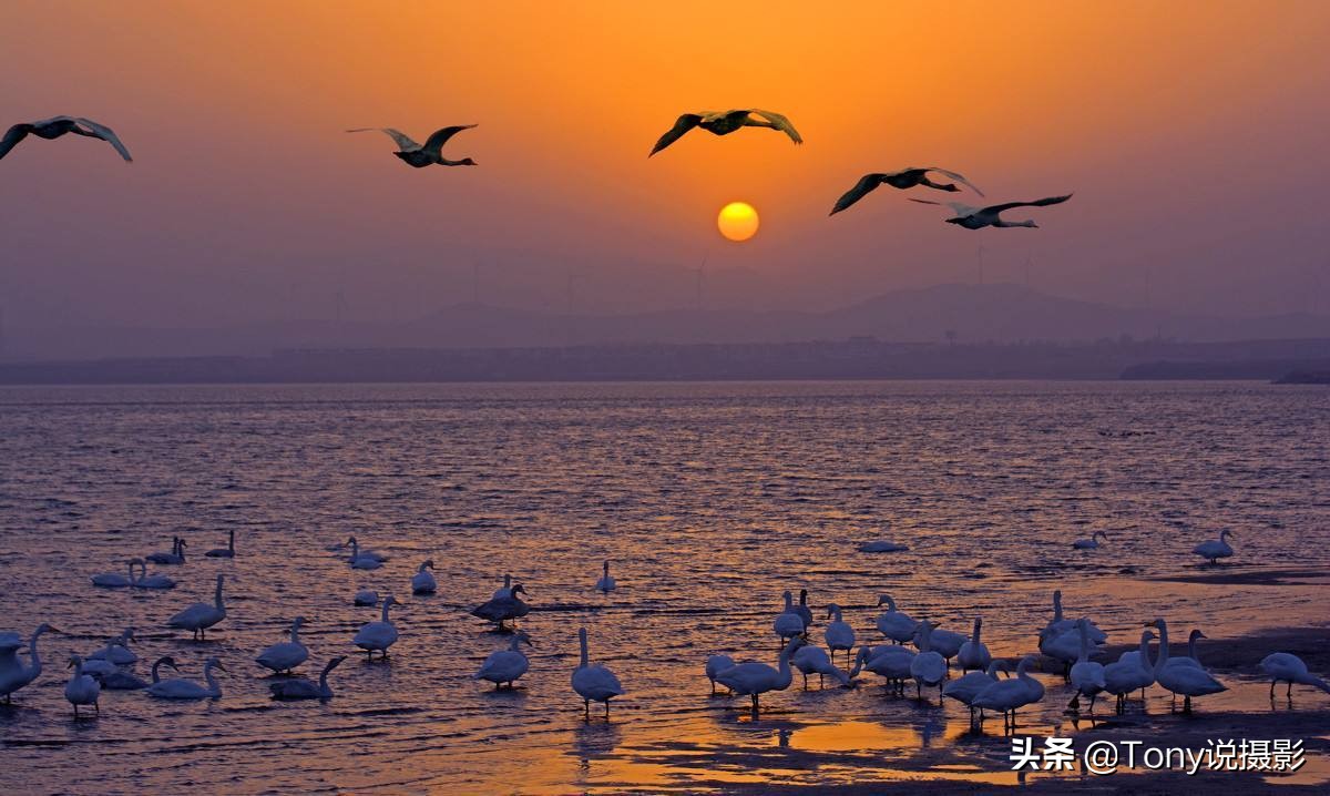 摄影如何拍摄日出日落详解,摄影如何拍日出调整曝光