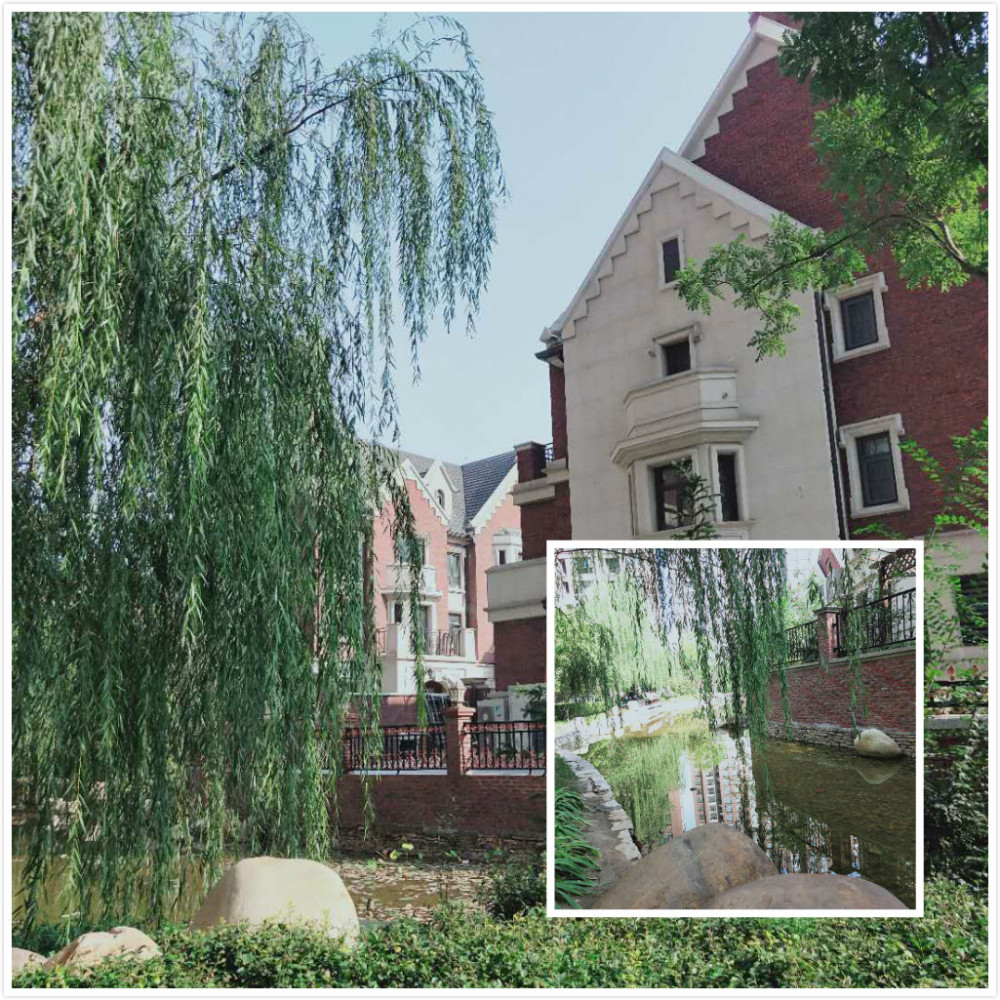 繁华林隐，野景初见——红石原著