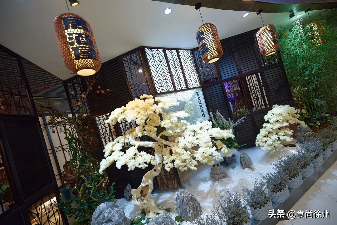 张柏芝日本游,张柏芝日本旅游