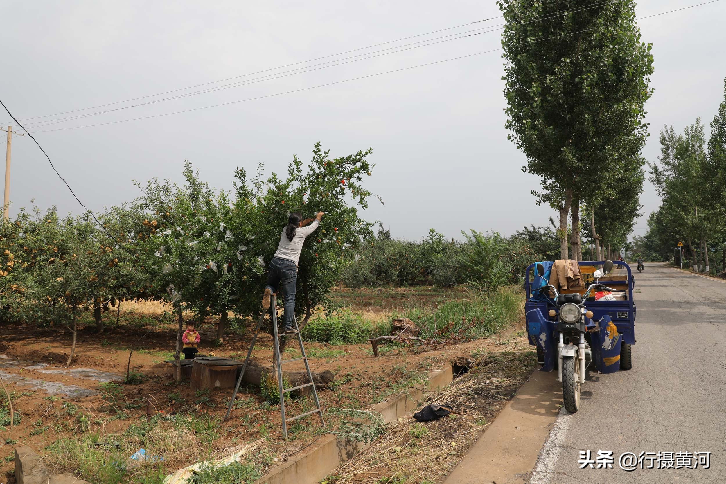 儿子娶个广东媳妇，生个女孩送回山西，看农村奶奶把孙女养成啥样