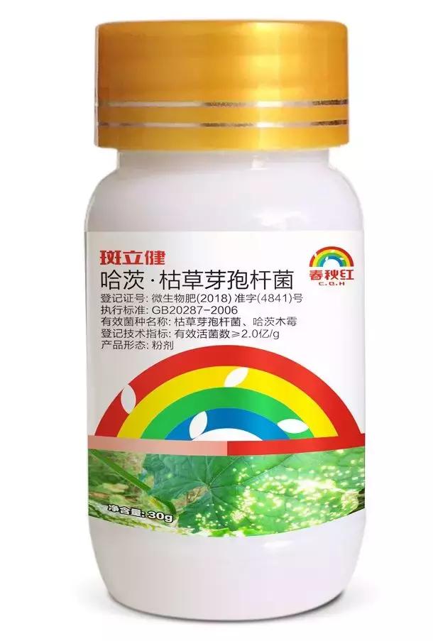 学会这一招，靶斑病不用愁，黄瓜“小黄点”轻松就搞定