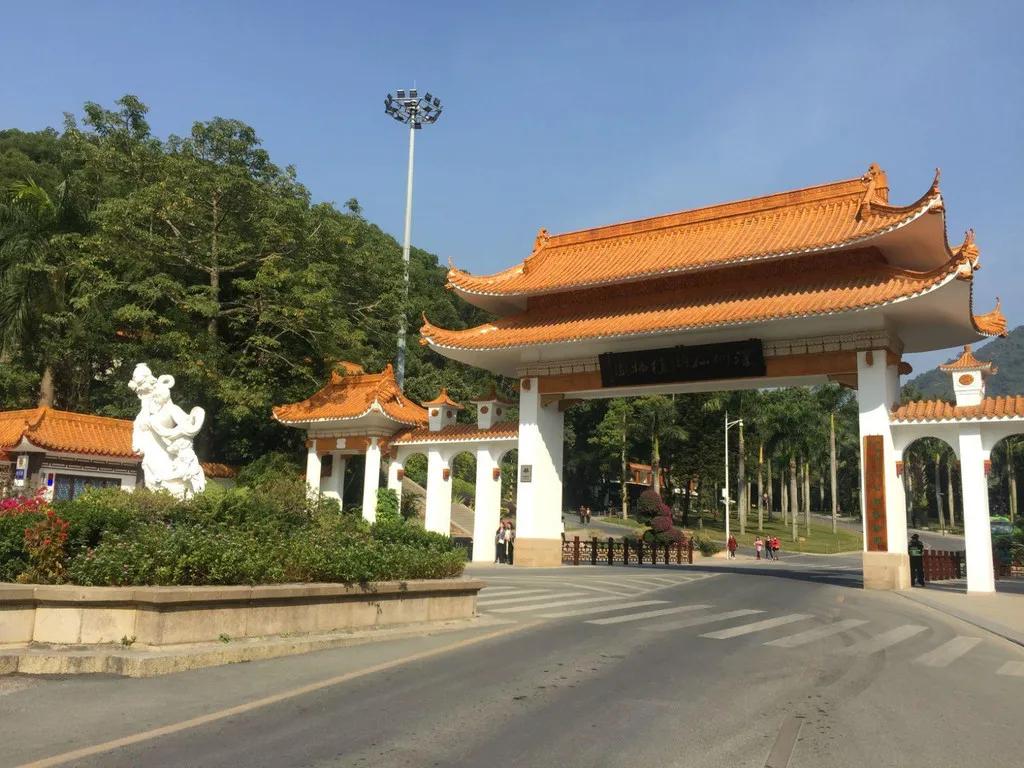 深圳罗湖图书馆开放时间,罗湖图书馆新开在哪了