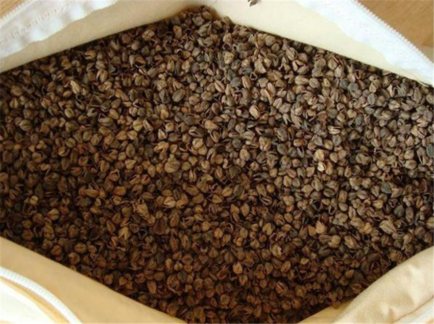 艾叶枕头护颈椎助睡眠,什么枕头有助于睡眠和颈椎