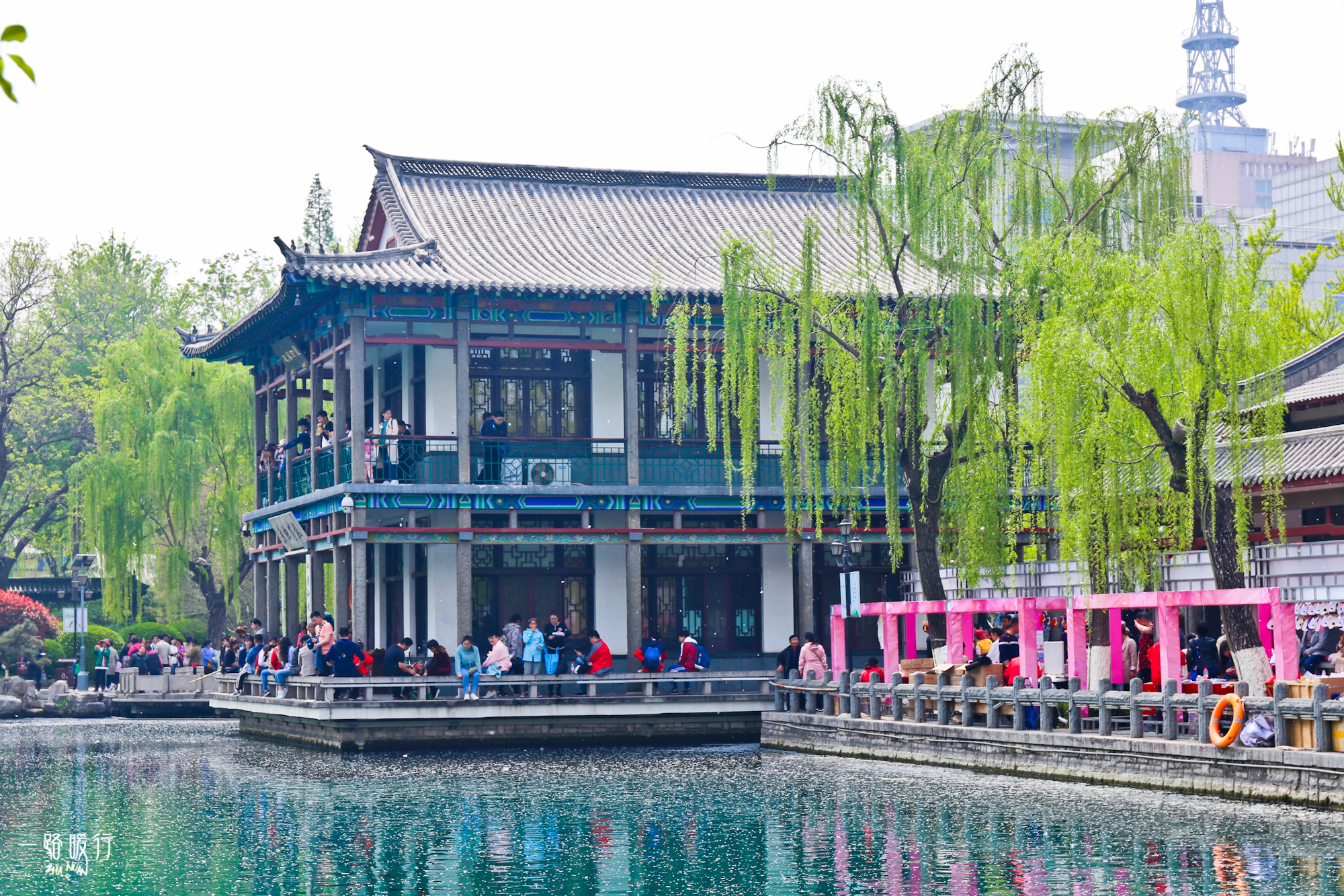 济南适合去的花海公园,济南春季公园有哪些景点