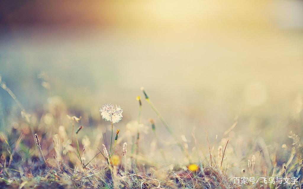 在这个浮躁的社会很难保持初心,当今浮躁的社会还能保持初心吗