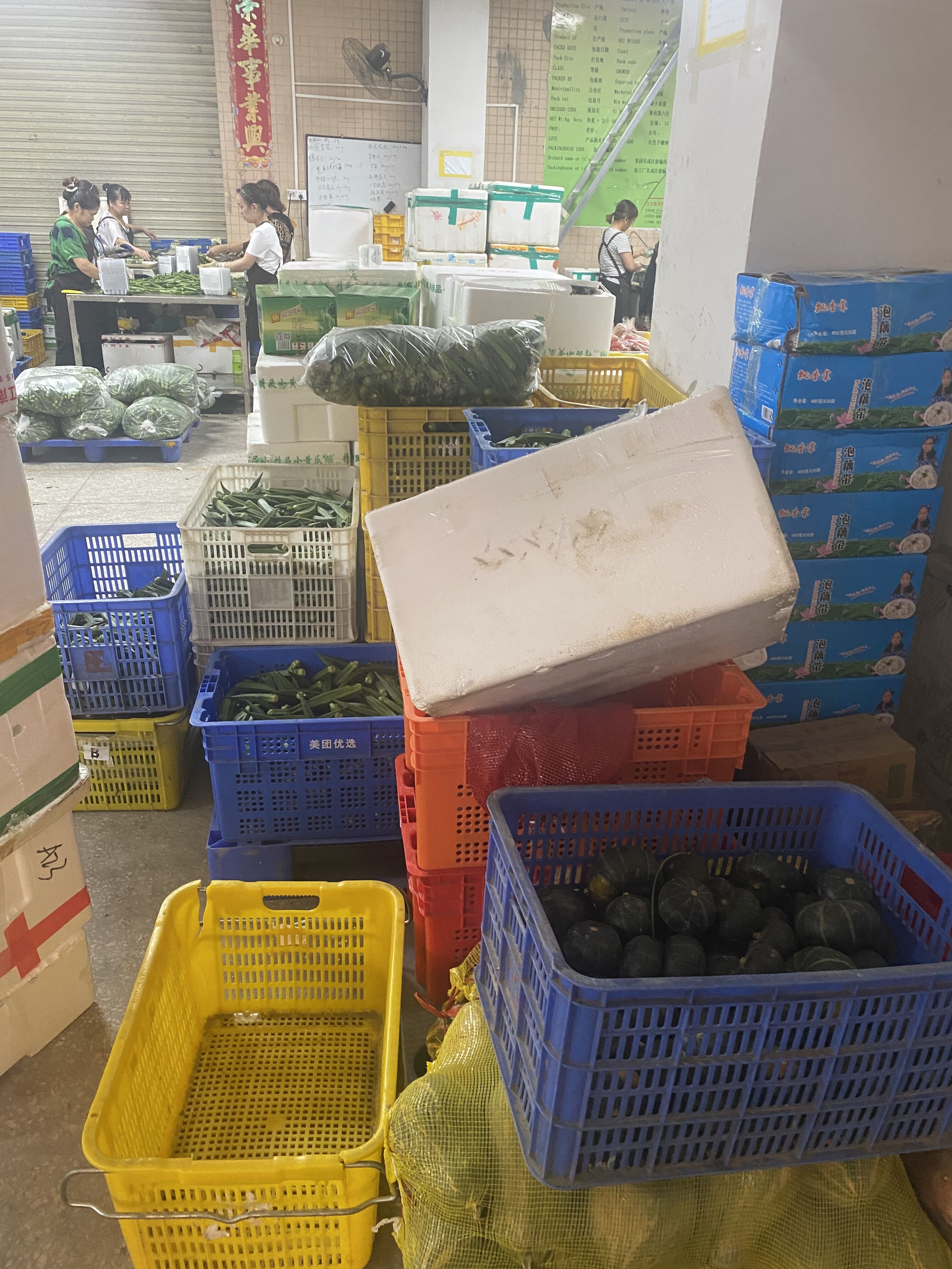 四川蔬菜批发进货渠道,如何搭建蔬菜销售渠道