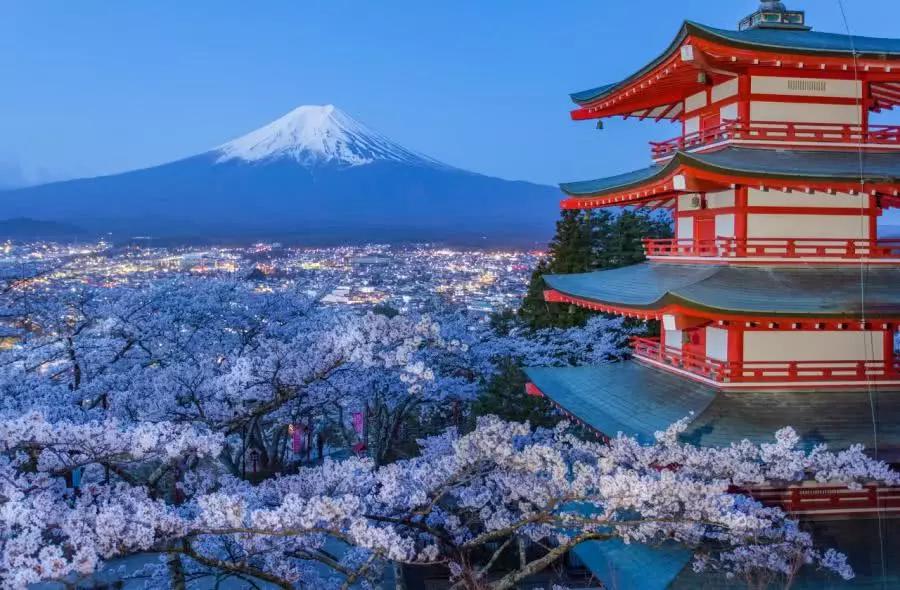 为什么市场上很少有人吃山茶油,山茶油为什么适合健康达人