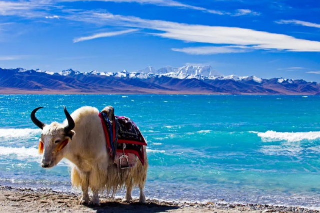 世界上哪个大峡谷最吸引游客排名,绝美大峡谷门票