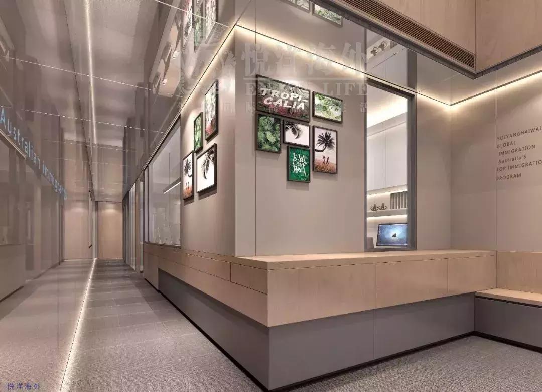 新风口已来创业项目,风口新商机