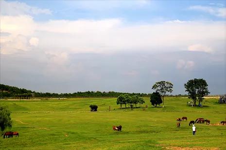 武汉新十条政策,武汉新政7项措施