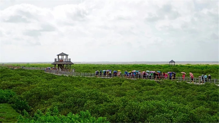 北海哪个地方负氧离子含量比较高,北海北岸和南岸负氧离子含量高