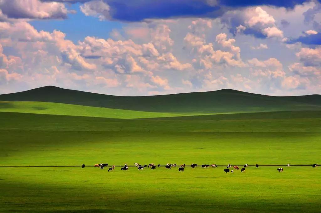 东来顺涮羊肉火锅视频,东来顺老北京铜锅涮肉