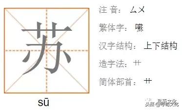 鑻忕殑濮撴皬瀛椾綋,鐢ㄦ眽瀛楁枃鍖栫煡璇嗗垎鏋愯嫃杩欎釜濮撴皬