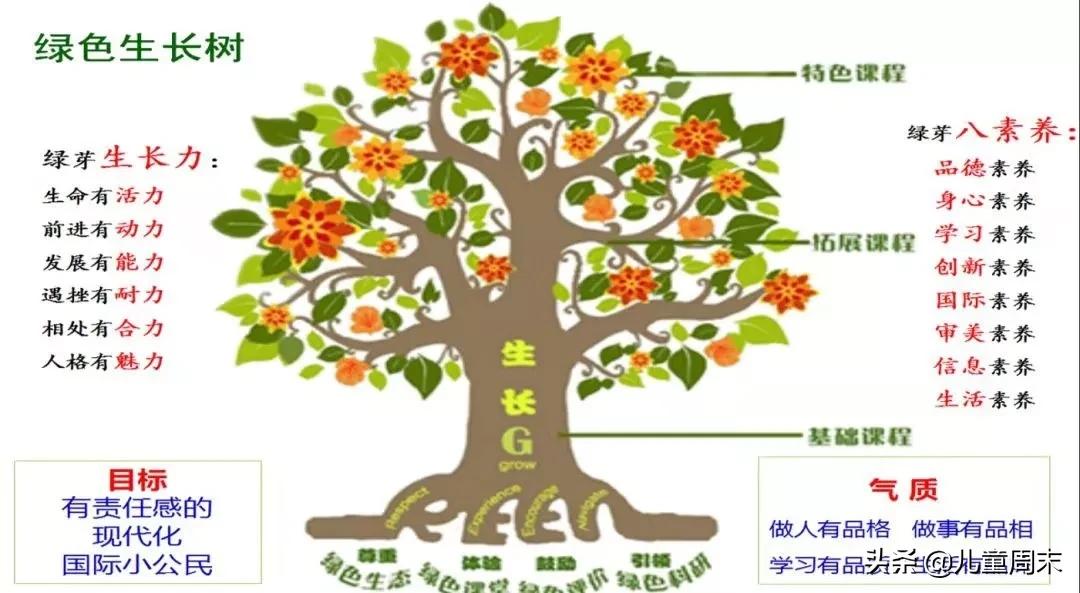 南山蛇口育才一小/二小/三小/四小,哪所更合适你家孩子?