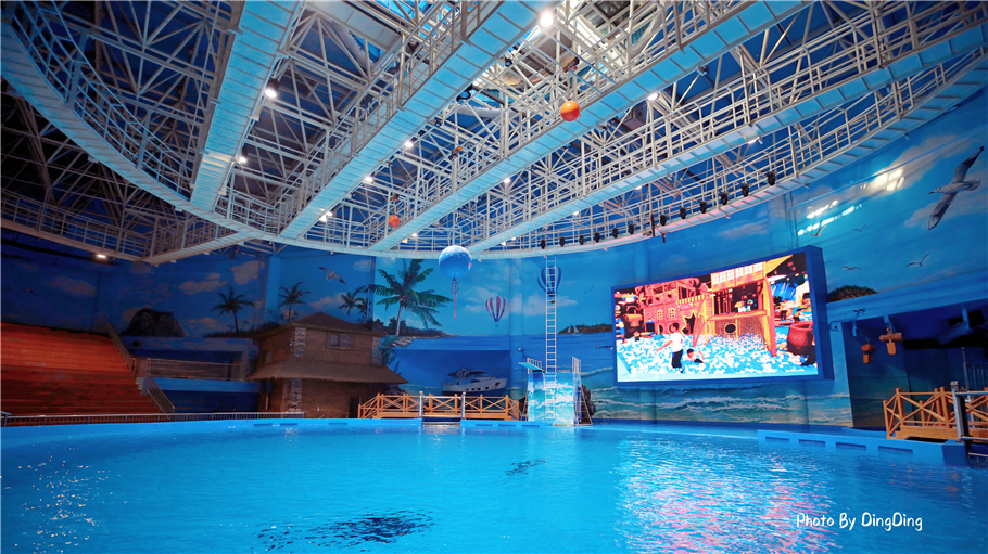 迪士尼能走多远,迪士尼乐园有多远