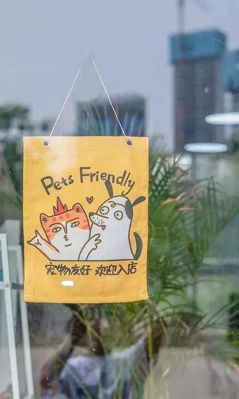 六月的雨和晴天,六月的晴天