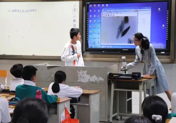 落实双减如何使课堂更有效,落实双减促进学校发展