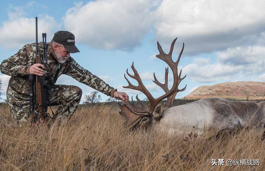 scar20s步枪6.5克里德莫尔弹,6.5毫米克里德莫尔弹优缺点