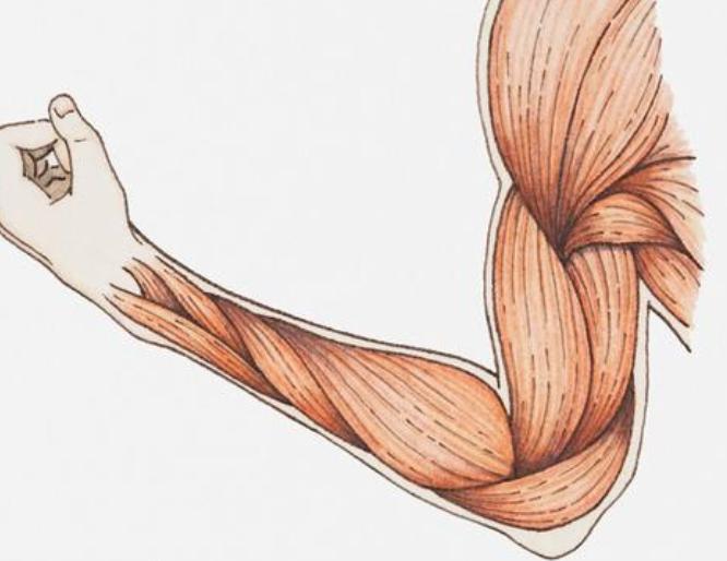 胳膊肘和膝盖黑怎么变白,手臂膝盖处黑要怎么美白