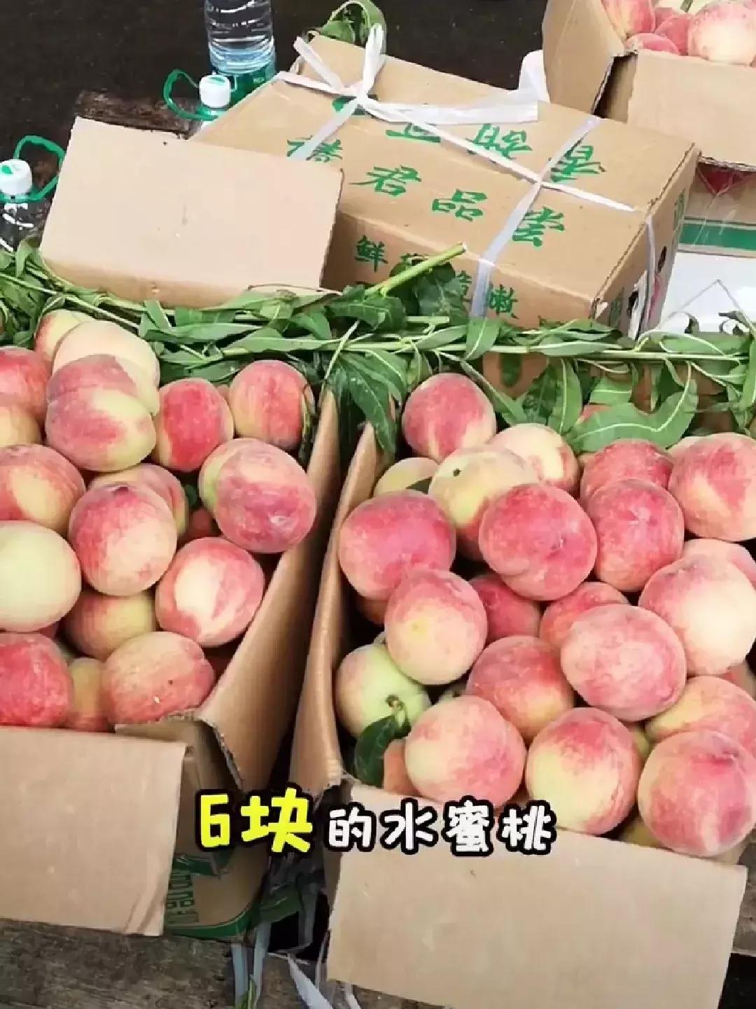 荔枝便宜批发市场,百大周谷堆水果批发市场荔枝价格