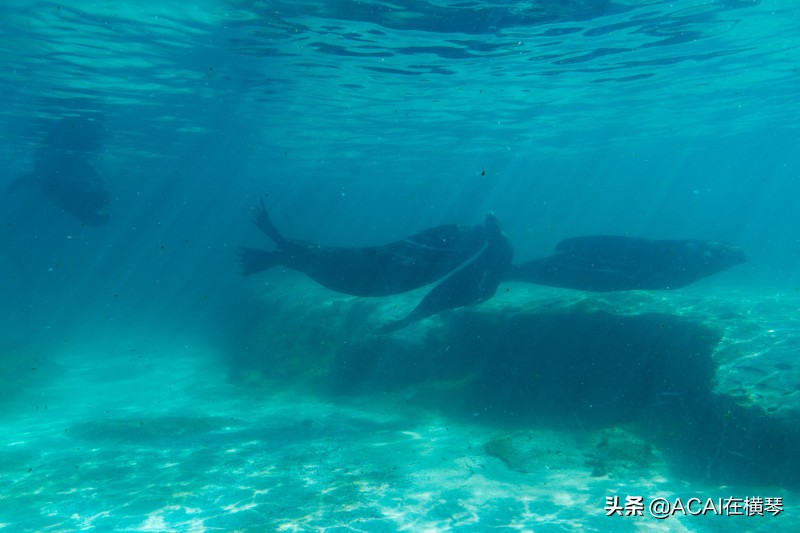 吃喝玩乐in珠海,珠海吃喝玩乐一体的地方